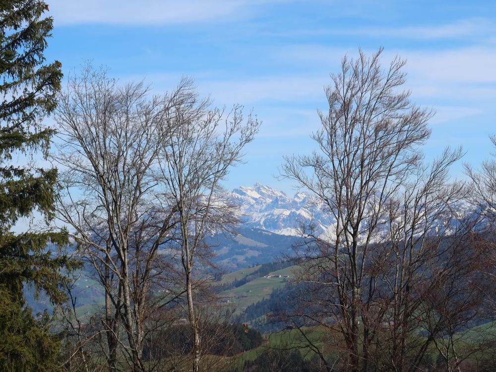 Säntis