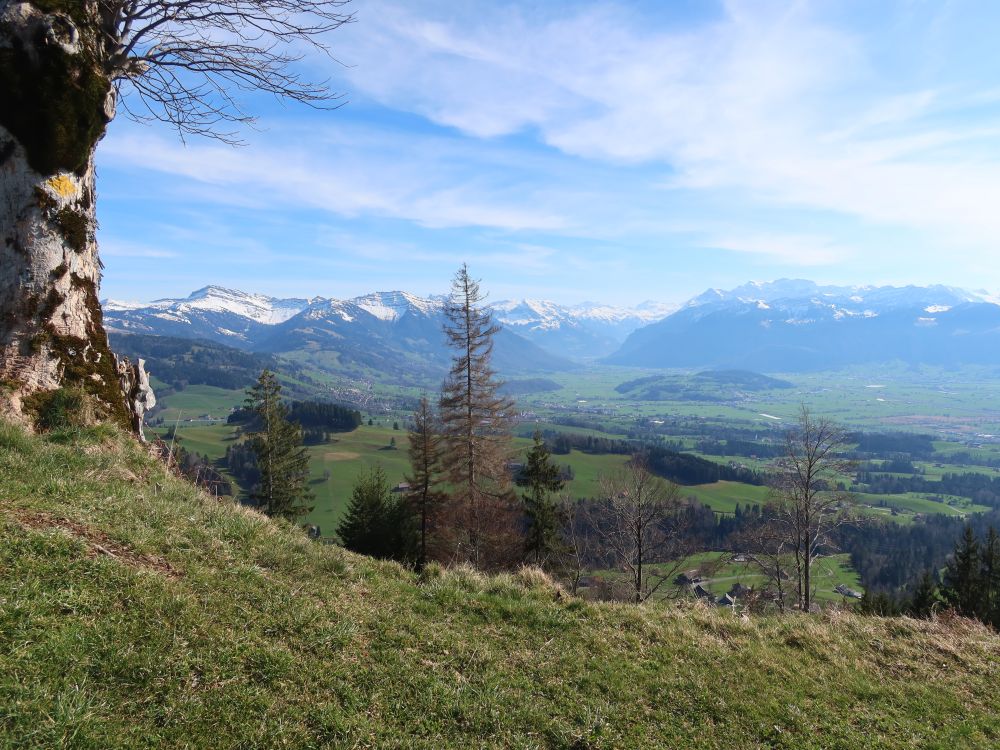 Glarner Alpen