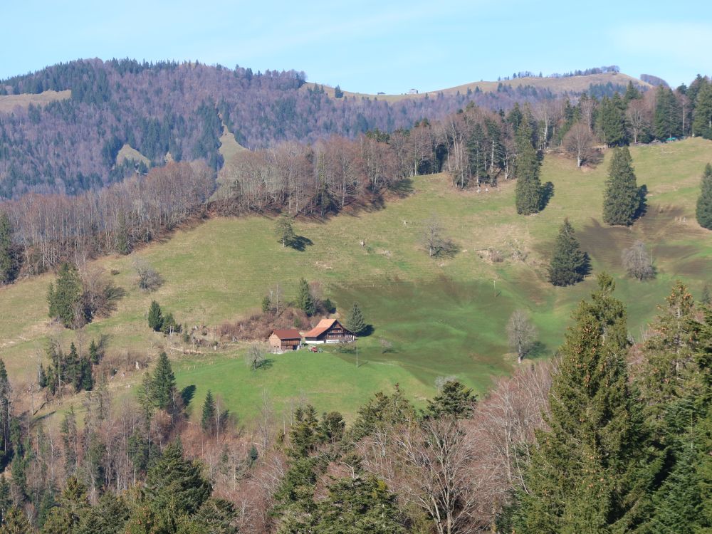 Blick Richtung Chrüzegg