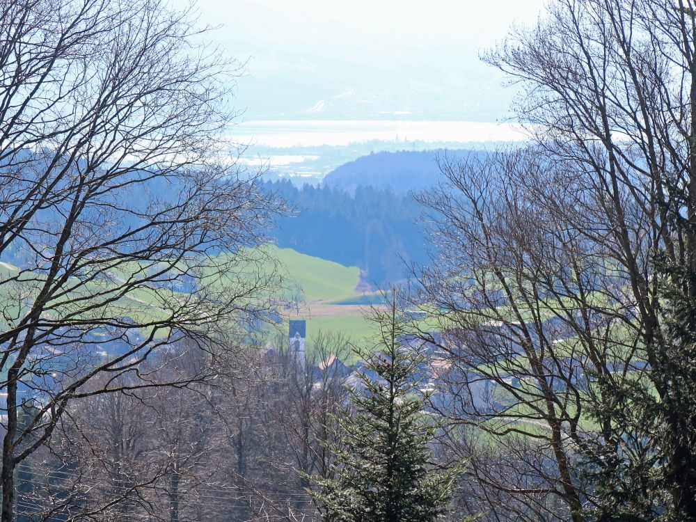 Goldingen und Zürichsee