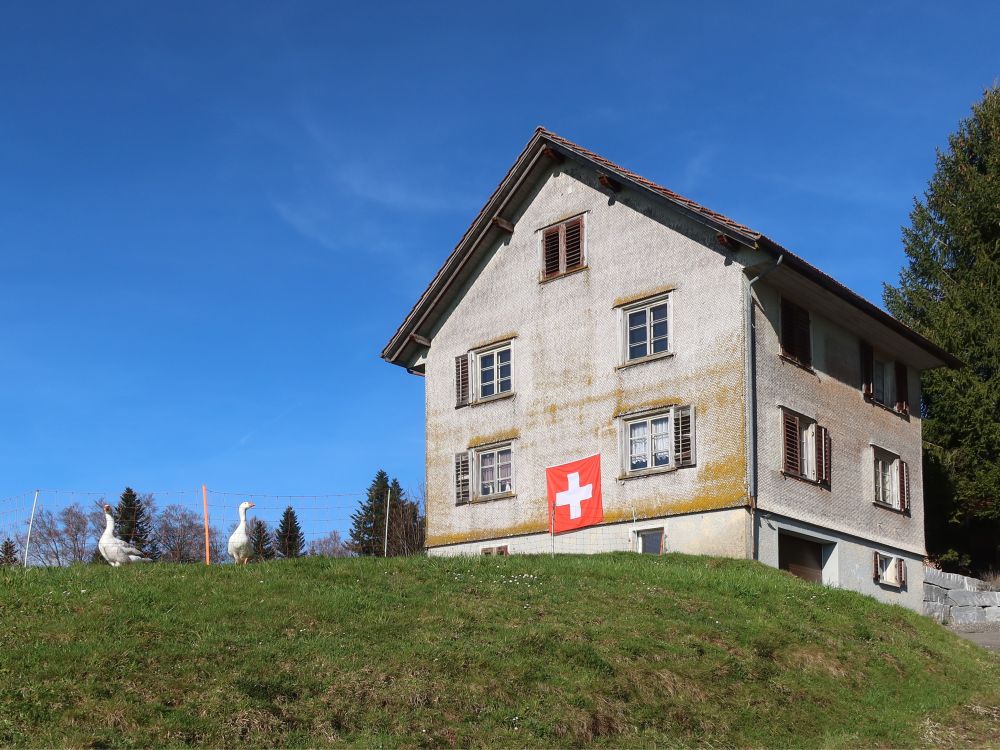 Haus bei Freudental mit Gänsebewachung