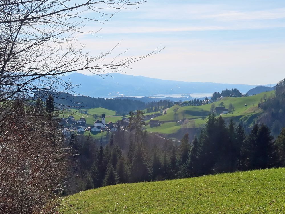 Goldingen und Zürichsee