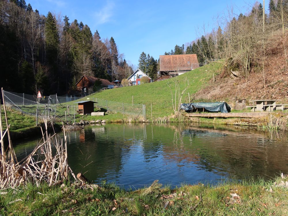 Teich bei Hintermüli