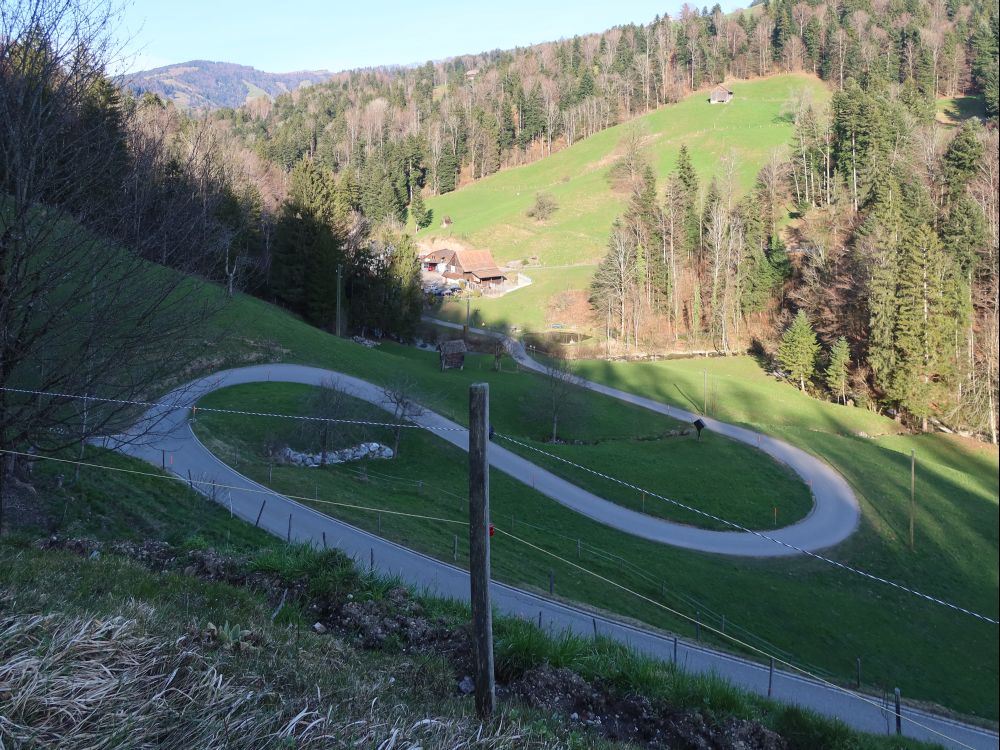 Strässchen im Hintertal