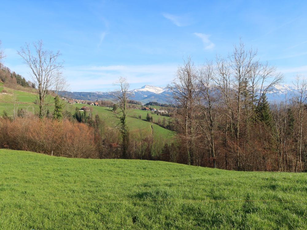 Blick Richtung Rüeterswil und Speer