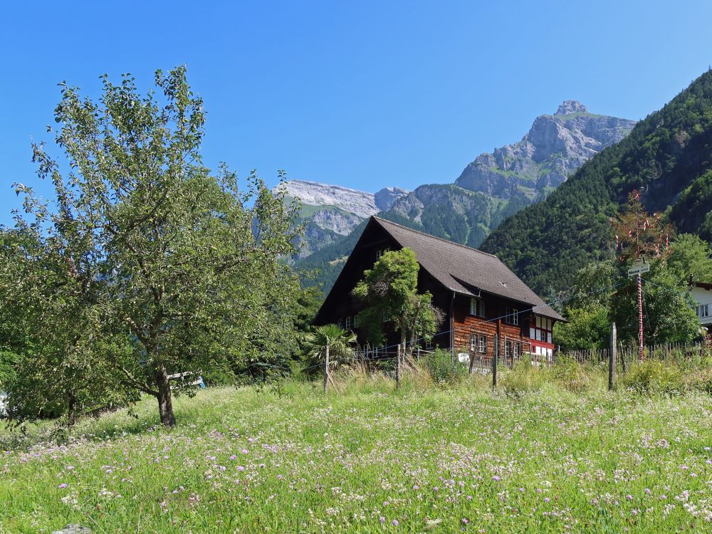 Holzhaus bei Silenen