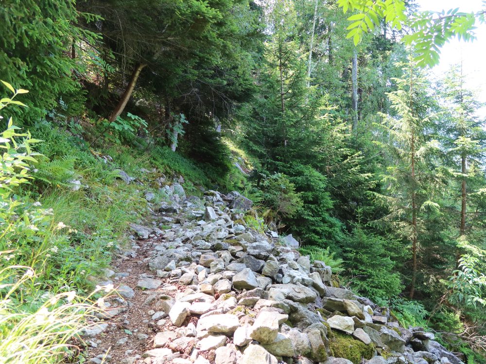 steiniger Pfad