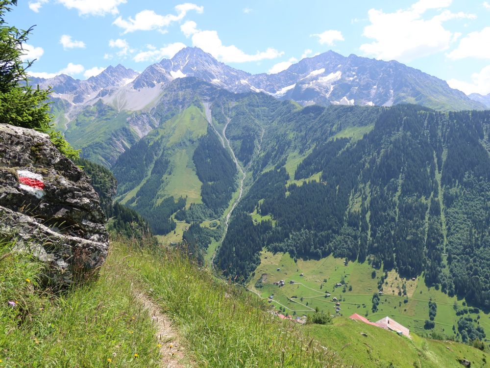 Pfad überm Maderanertal