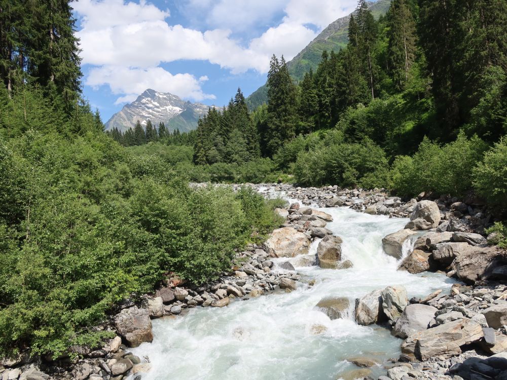 Chärstellenbach und Gross Düssi