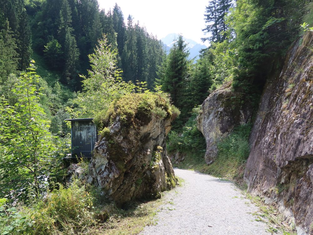 Weg im Maderanertal