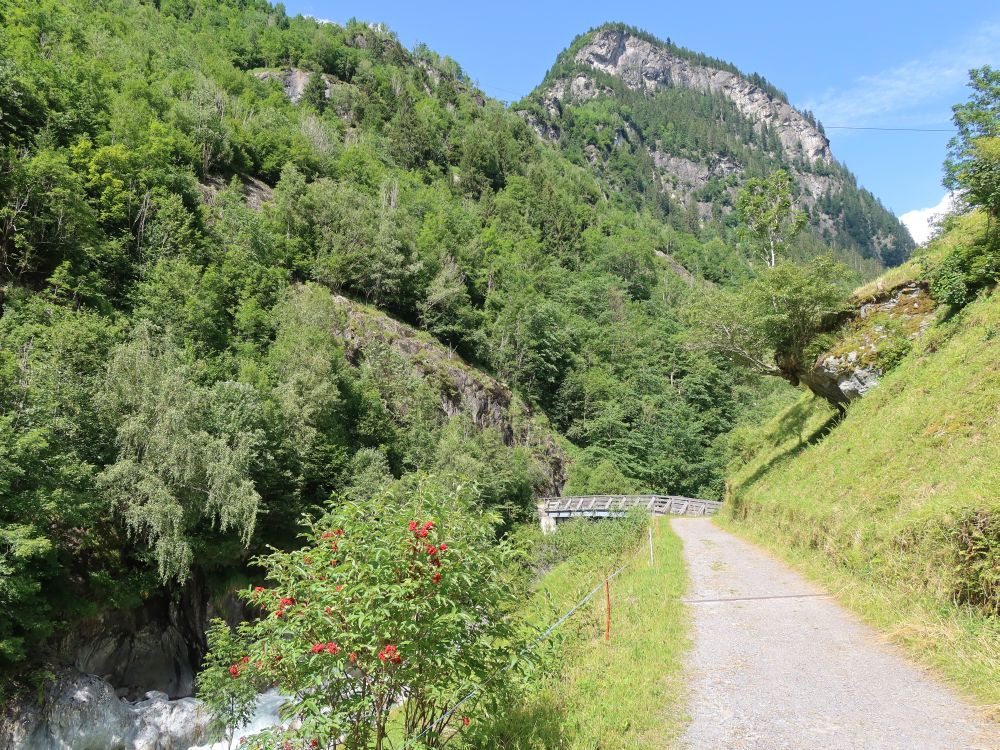 Weg im Maderanertal und Genschel