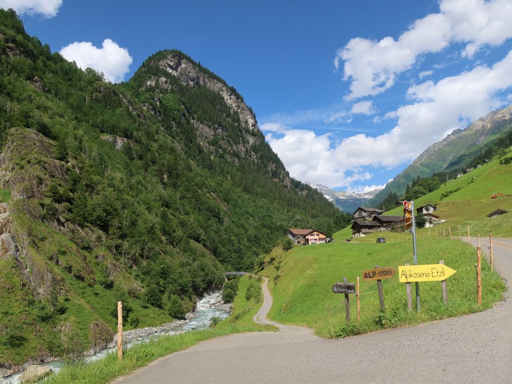 Geschel am Maderanertal