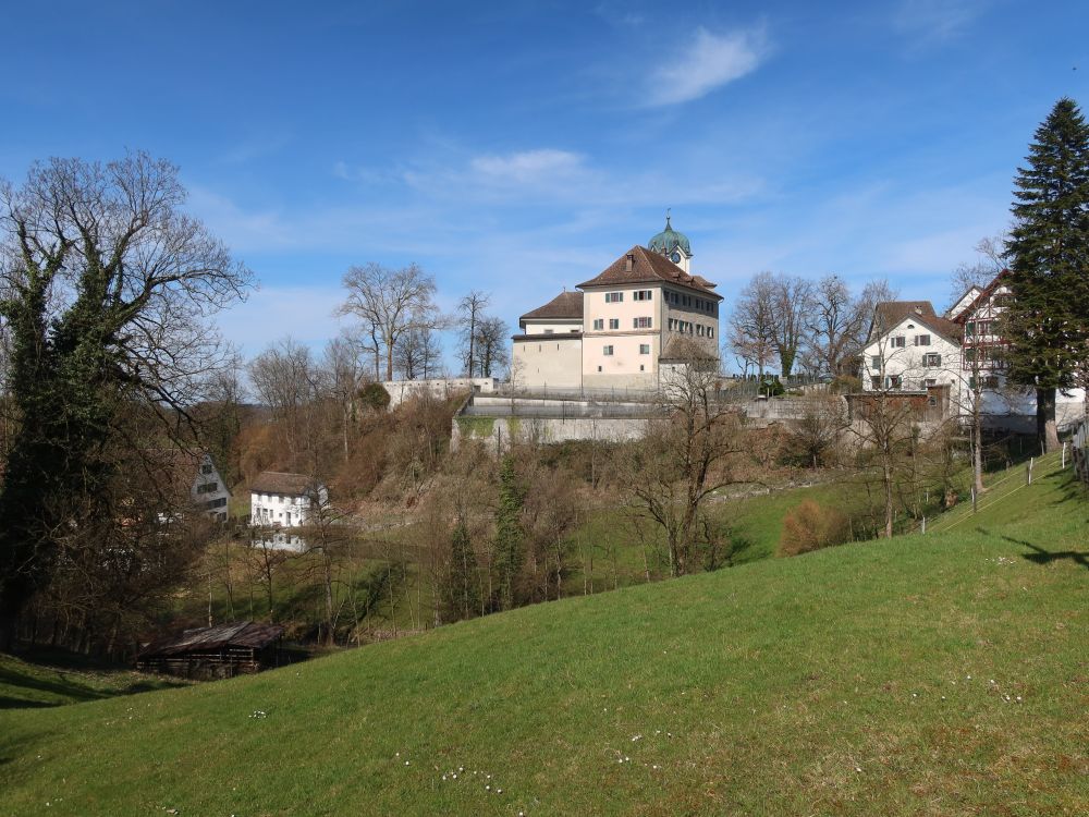 Schloss Grüningen