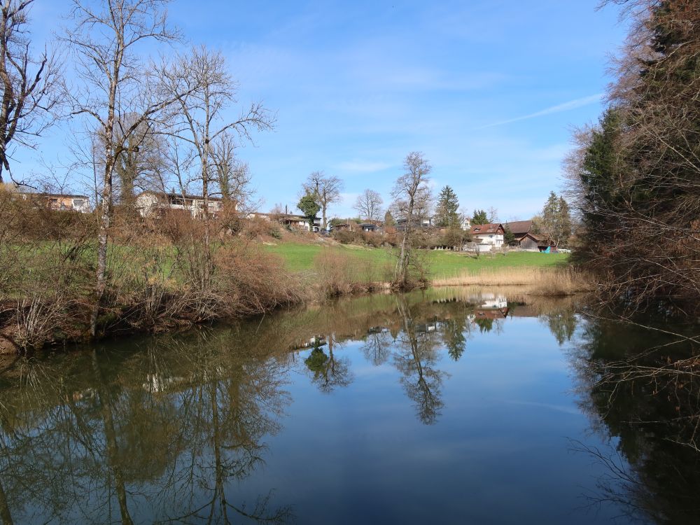 Spiegelung im Töbeliweiher