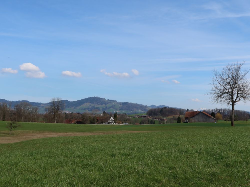 Blick Richtung Bachtel