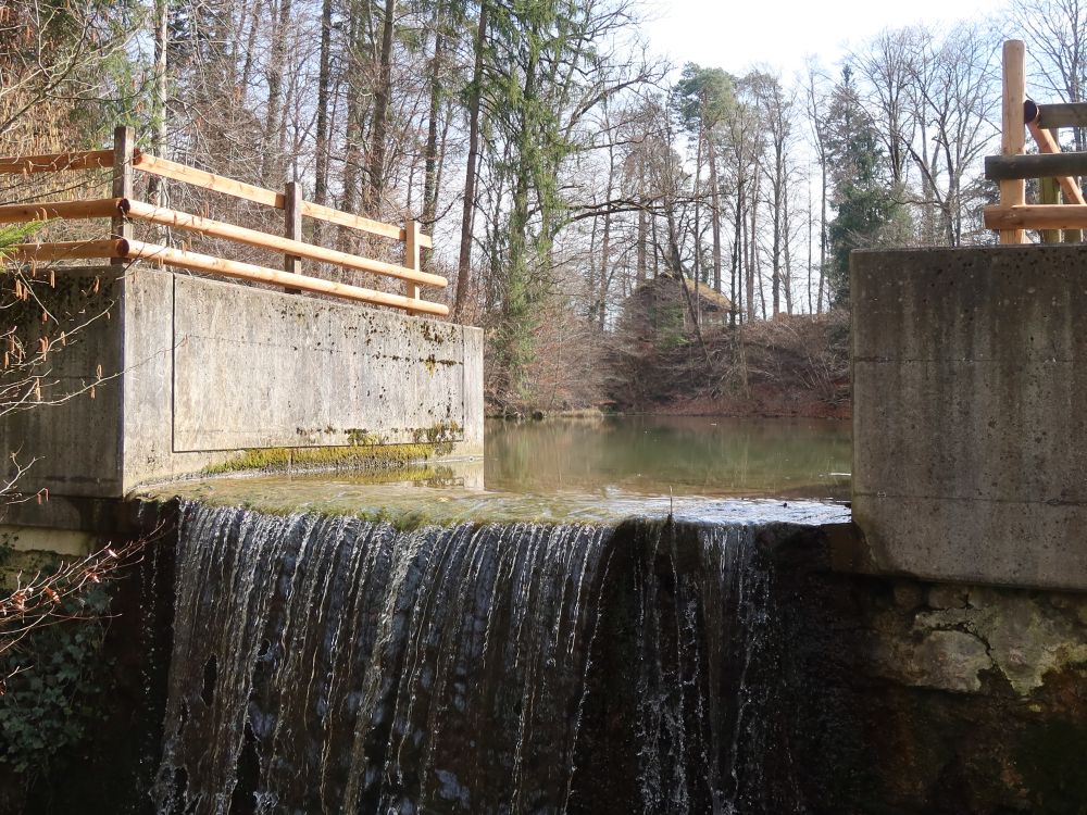 Wasserfall am Gissenweiher