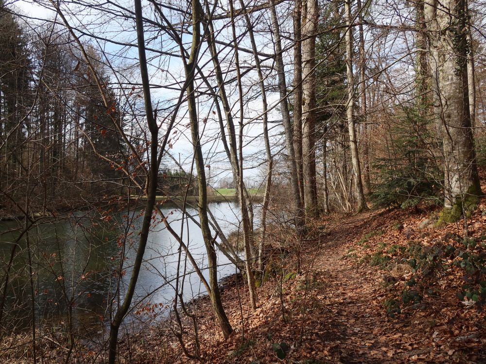 Gissenweiher