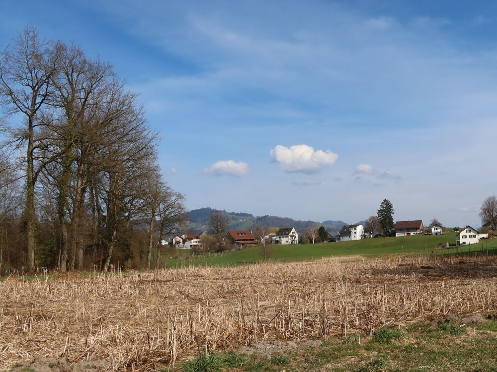 Blick Richtung Bachtel