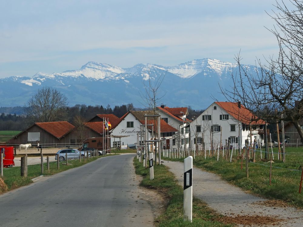 Homberg mit Speer und Federispitz