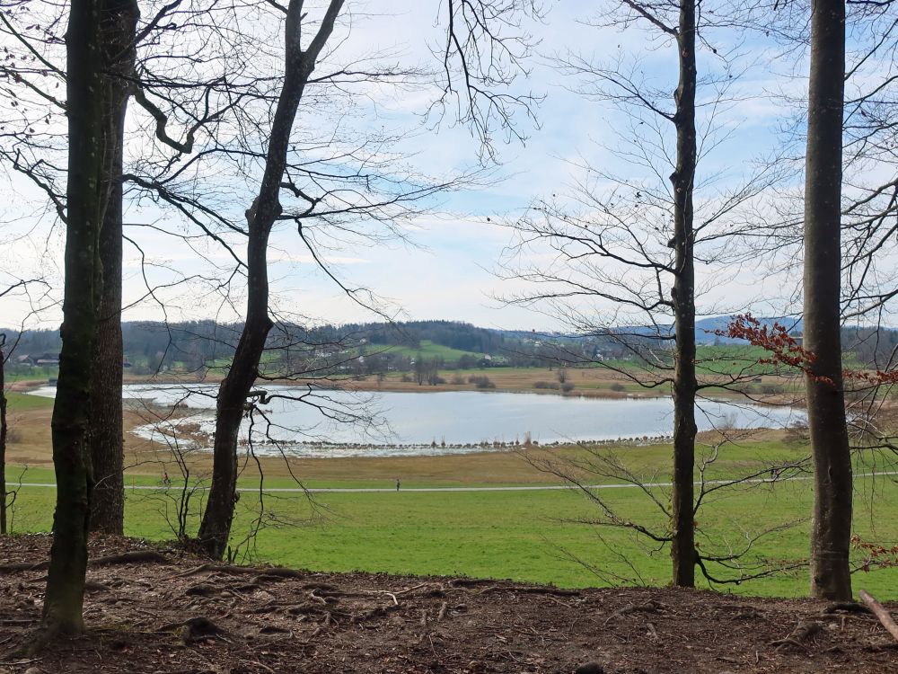 Lützelsee