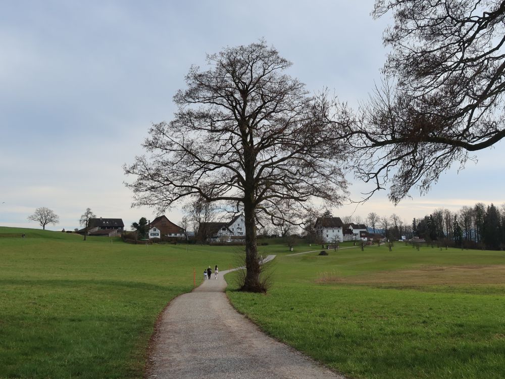 Gemeinde Lützelsee