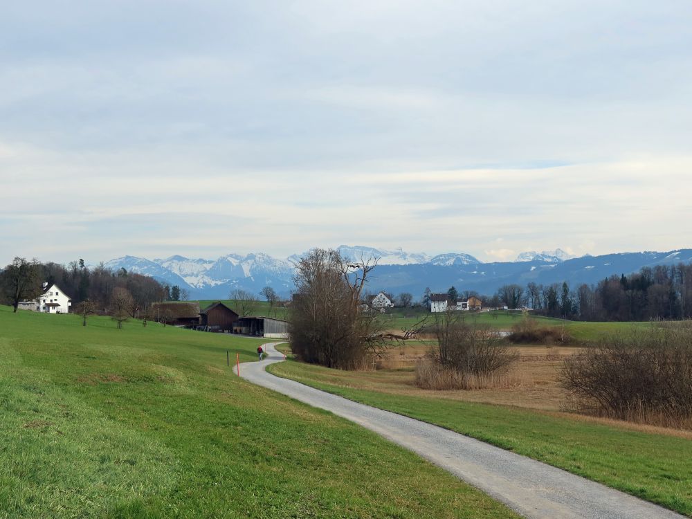 Glarner Alpen über Hasel