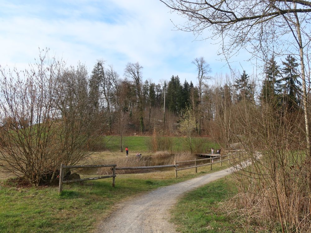 Teich am Chrummbach