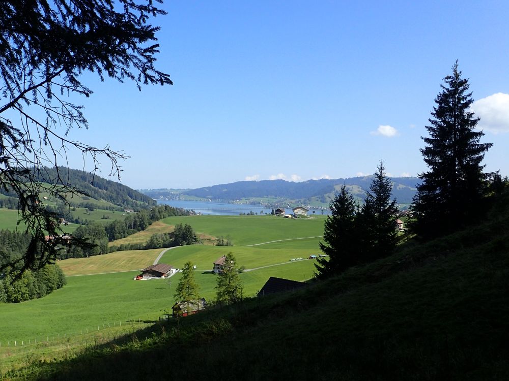 Blick Richtung Sihlsee