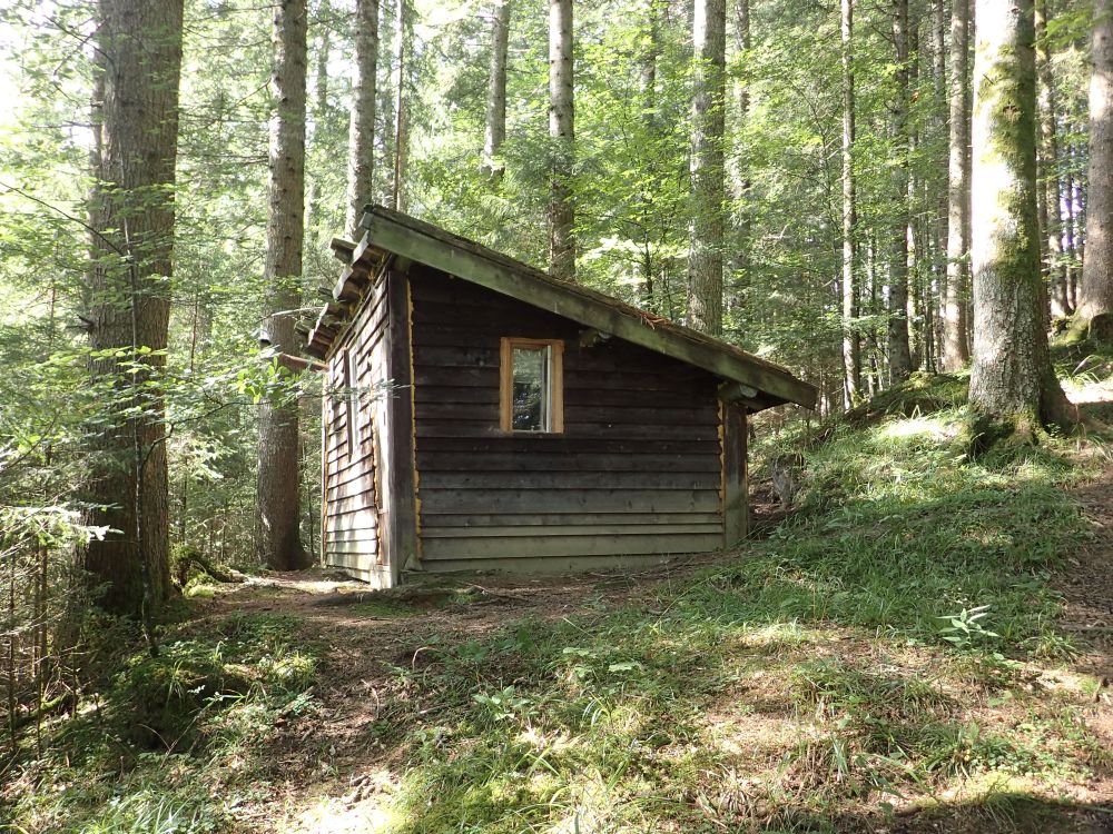 Waldhütte