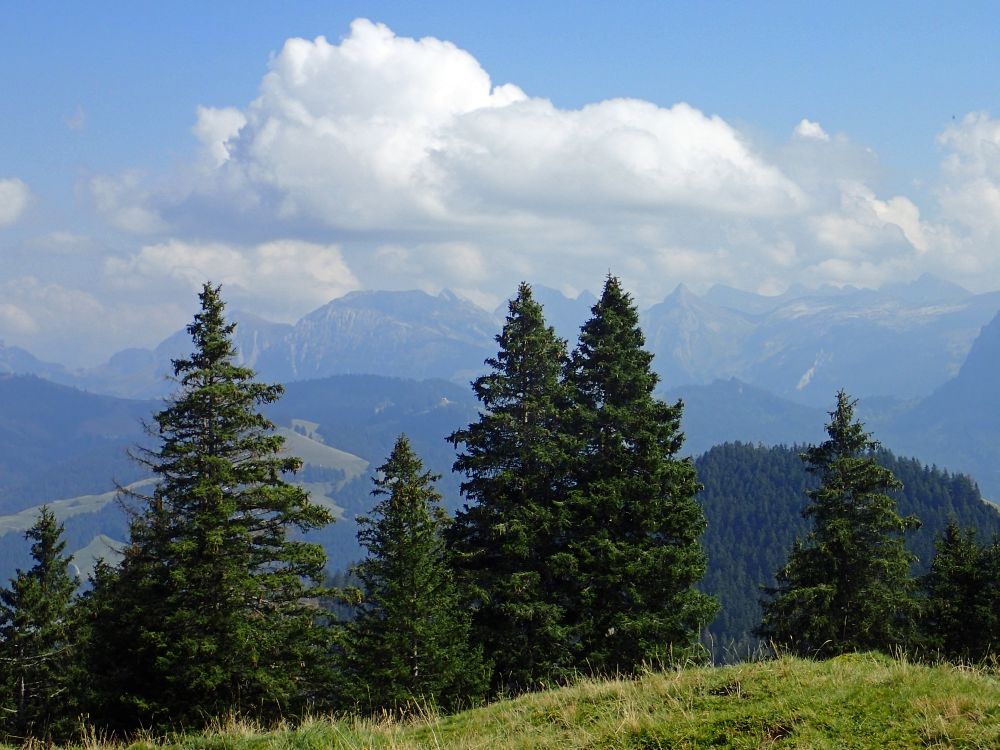 Schiberg und Zindlenspitz