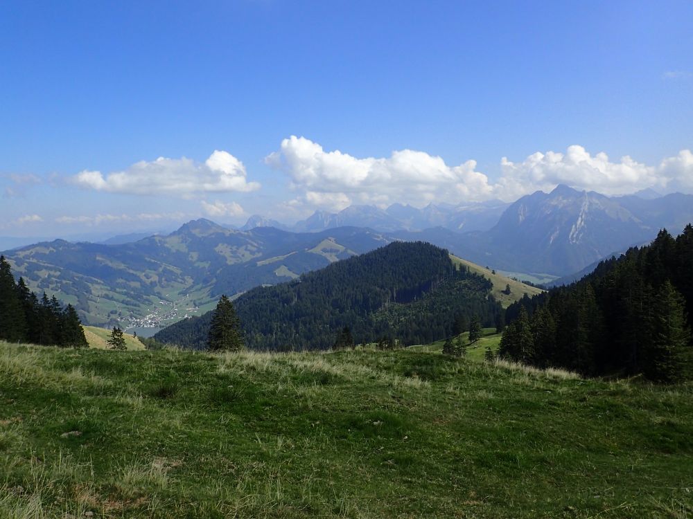 Gross Aubrig bis Fluebrig, Schrähöchi im Vordergrund