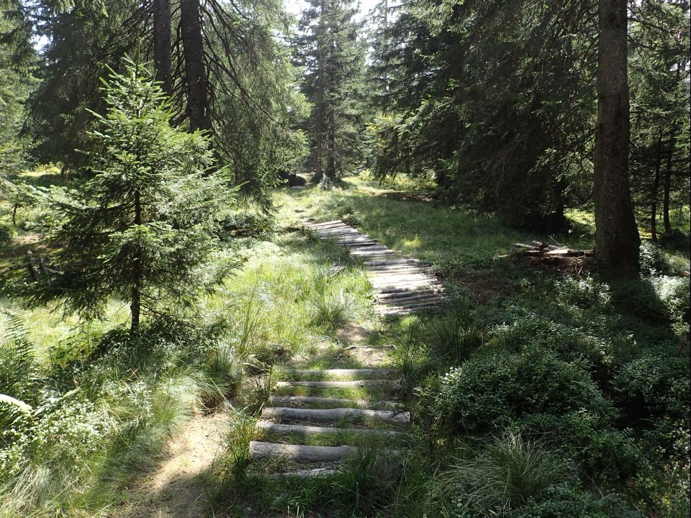 Holzsteg im Moor