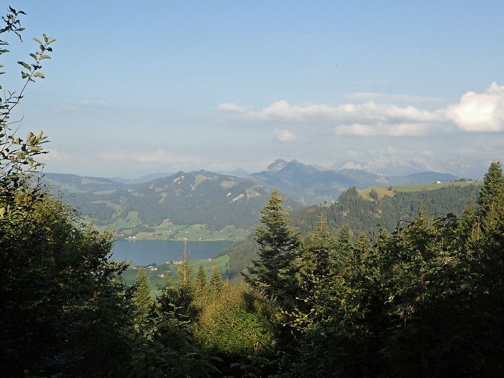 Blick Richtung Sihlsee