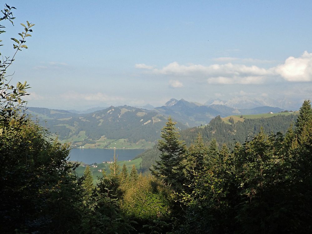 Blick Richtung Sihlsee