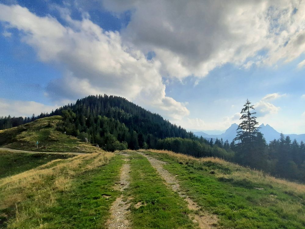 Blick zur Gämschspitz