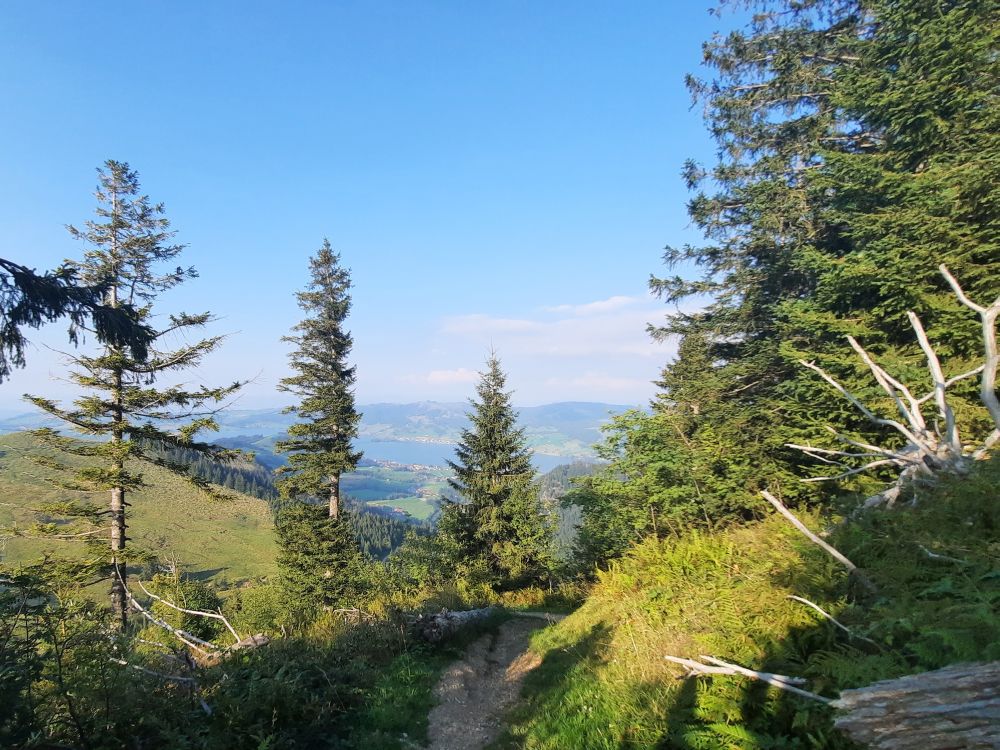 Blick Richtung Sihlsee