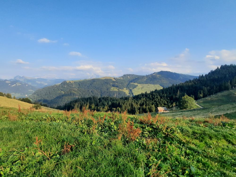 Blick zum Hummel und Bögliegg