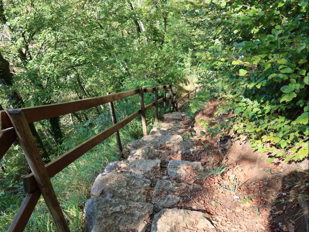 Steintreppe zur Bruderhöhle