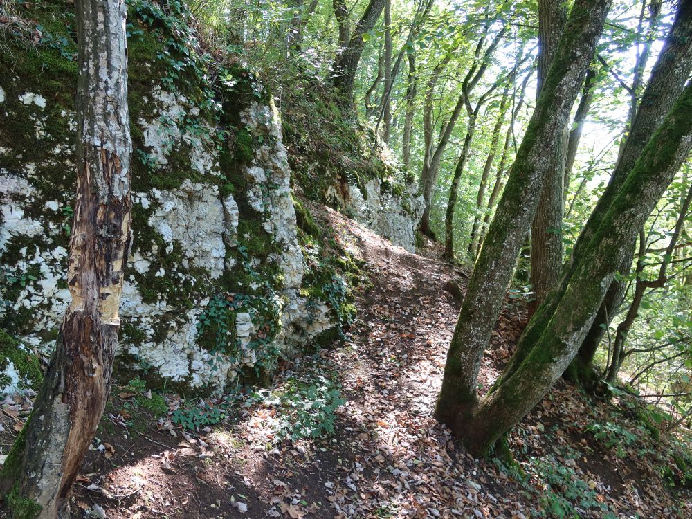 Fels an der Bruderhöhle