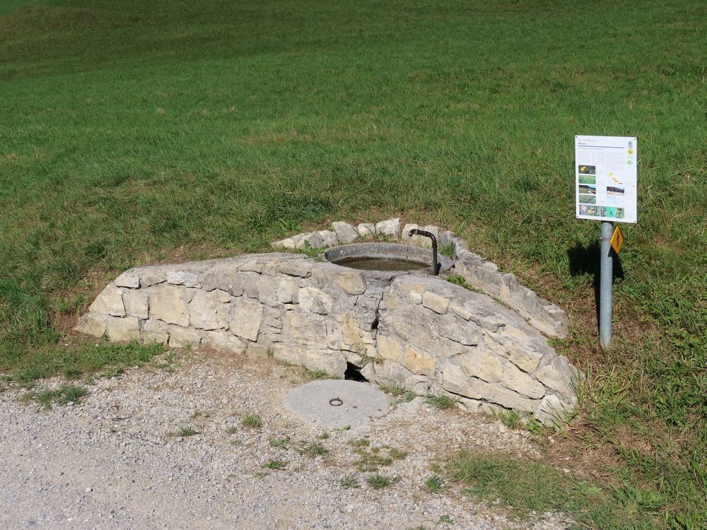 Brunnen mit Infotafel