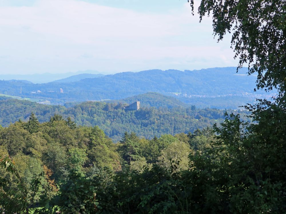 Blick zum Schloss Habsburg