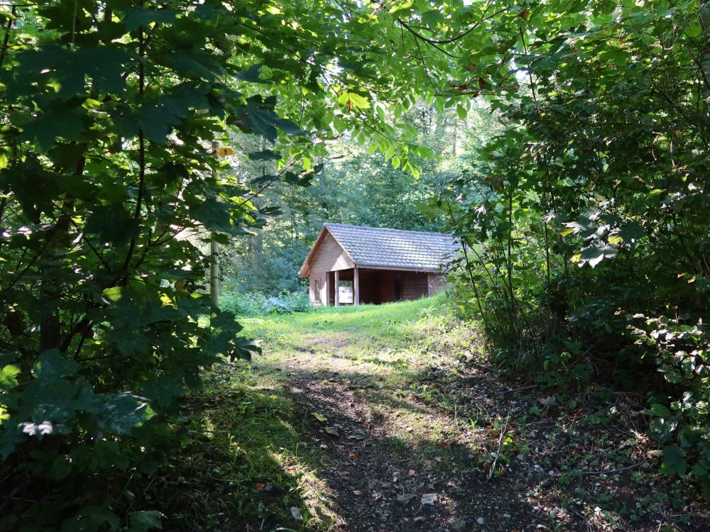 Waldhütte