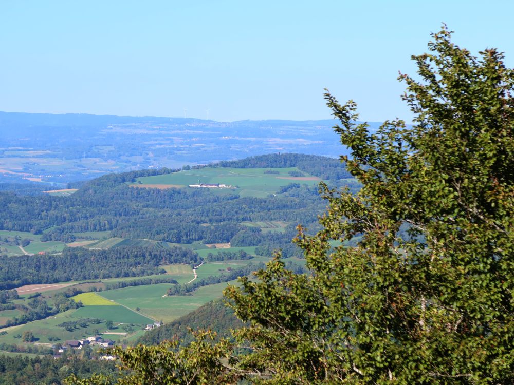 Cheisacherhof und Cheisacherturm