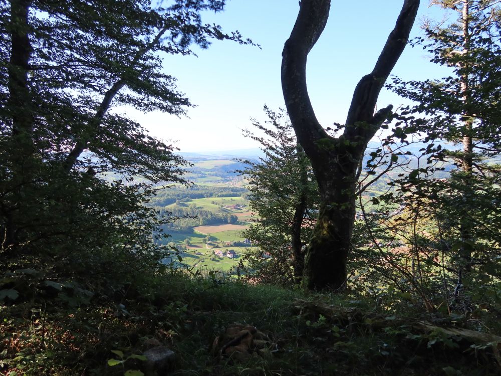 Blick vom Homberg