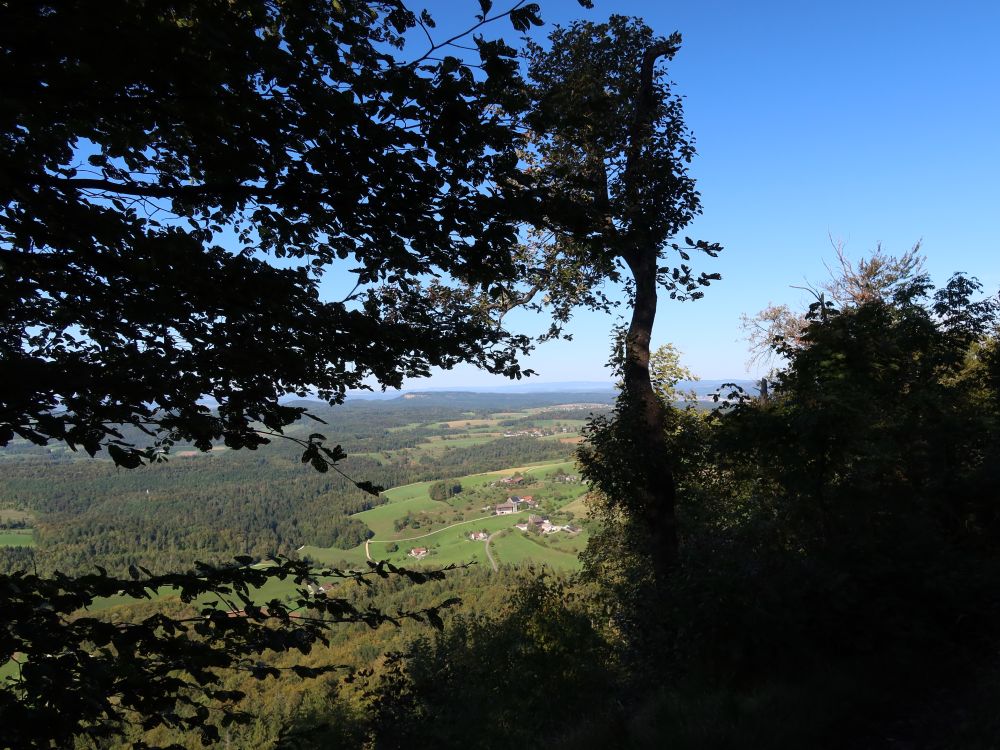 Blick vom Homberg