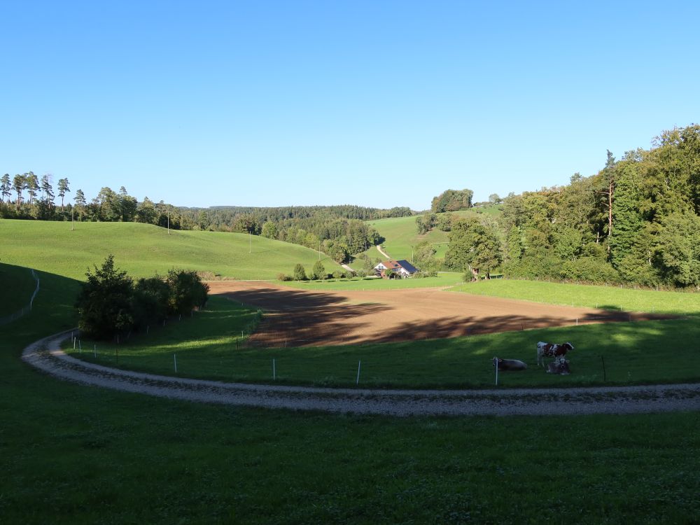 Lütihuse