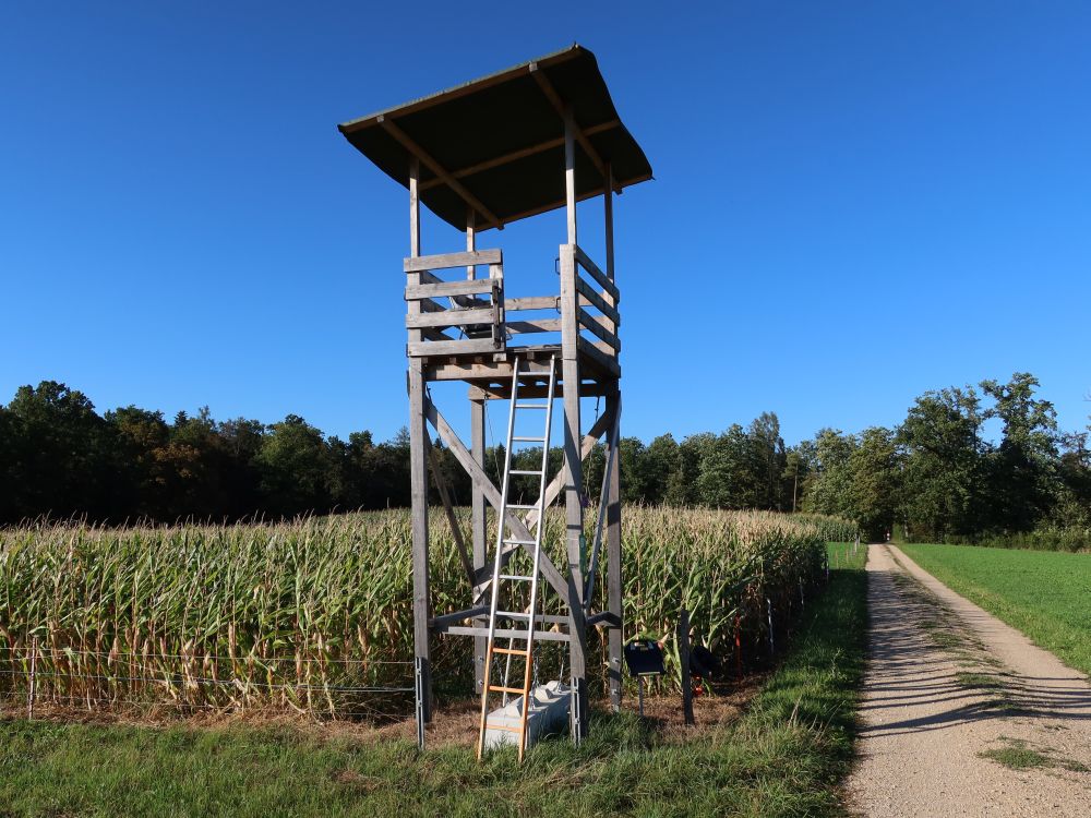 Jägerstand mit Betongewicht