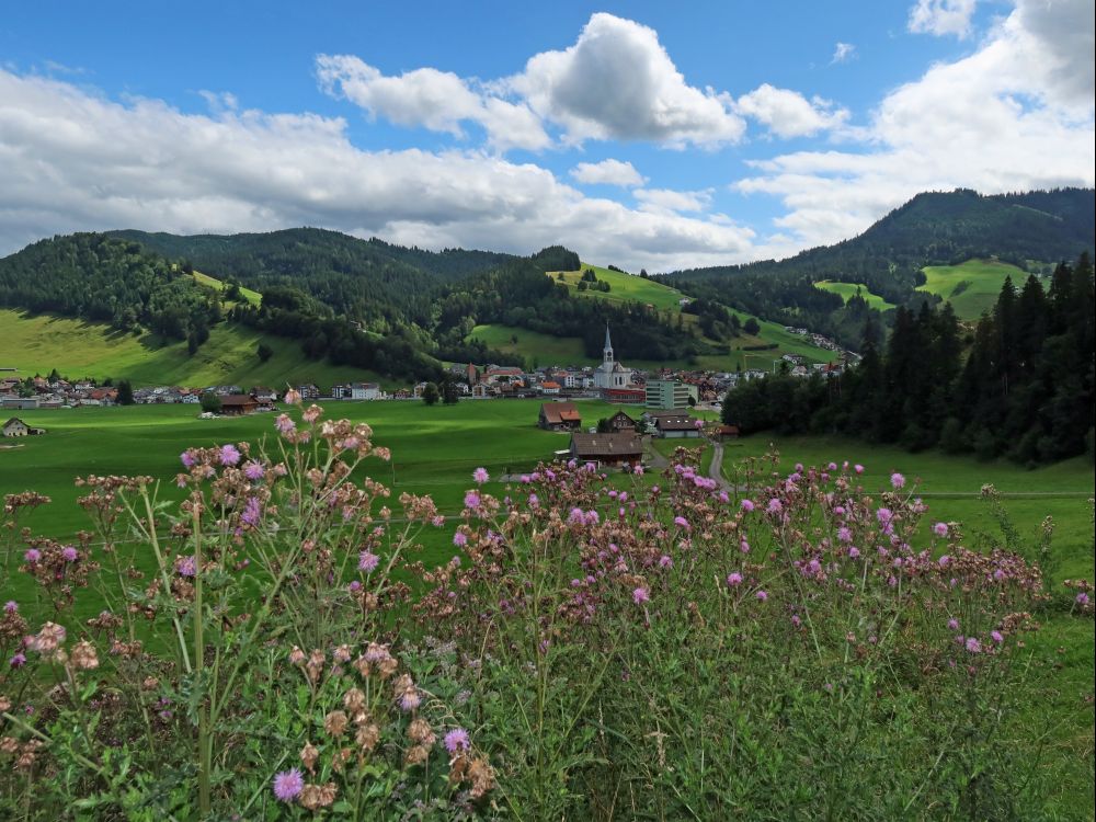 Rothenthurm mit Disteln im Vordergrund