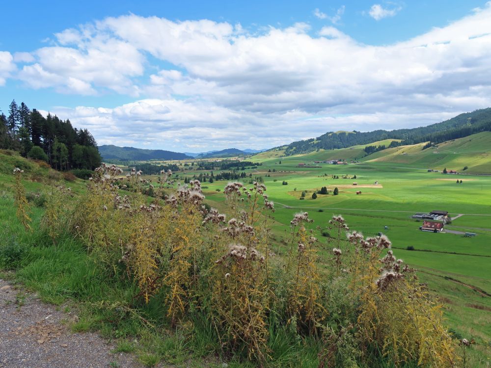 Hochmoor Rothenthurm