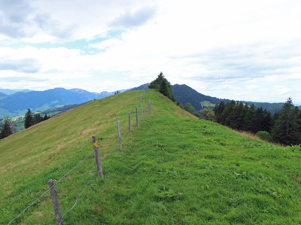 breiter Grat am Morgartenberg